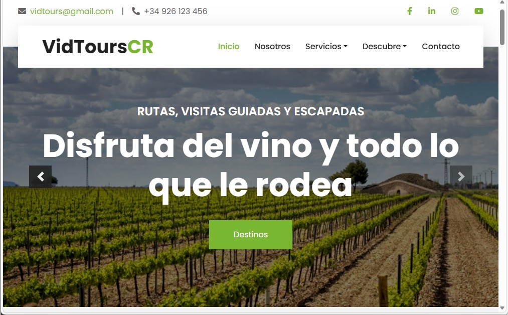 Pantallazo de web de Vidtorus