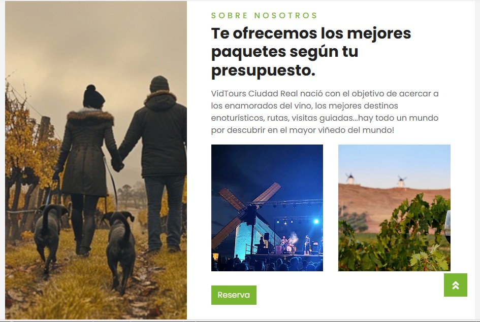 Pantallazo de web de Vidtours